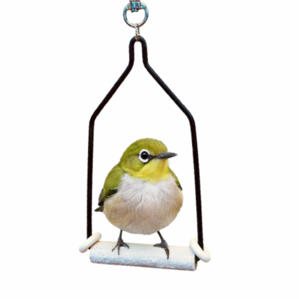 w518專為單鳥設計的迷你磨爪鞦韆 鳥用鞦韆
「迷你」、「單人」、「磨爪」、「檀木」、「黑色」、「質感」