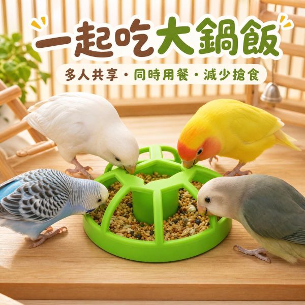 Z078 幼鳥/殘疾鳥食盒 ｜防翻淺碟鳥用飼料盤 幼鳥食盒, 殘疾鳥食盒, 淺碟鳥用飼料盒, 鳥用食盤, 鳥用進食器, 鸚鵡學吃食盒, 防翻鳥食盆, 殘疾鳥照護用品, 文鳥食盒, MY PET BIRD