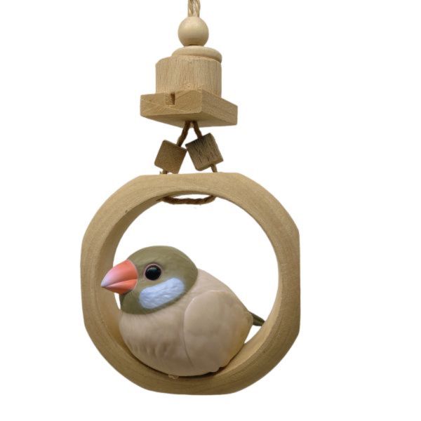 MY PET BIRD  小型鳥環形鞦韆 鳥用鞦韆
小鸚鵡鞦韆
3D立體造型鞦韆
方形支架座鞦韆
鳥類遊戲玩具
鳥類運動器材
室內外適用鳥類鞦韆
容易清洗鳥用鞦韆
鳥類健康促進器材
鳥類樂趣遊戲器材