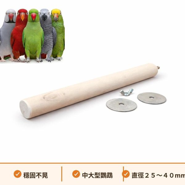 W879 大型鸚鵡加長粗站棍｜松木/鞍木/櫸木多款可選 巴西 節節木 站棍

天然 木材 鸚鵡 站架

鸚鵡 磨爪 站棍

中型鸚鵡 棲木 推薦

預防 鸚鵡 關節炎 站棍

鸚鵡 腳部 健康 站棍