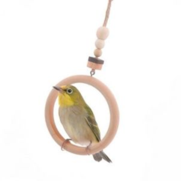 W505 精致設計的綠繡眼小型鞦韆 綠繡眼迷你鞦韆：提供綠繡眼鸚鵡的娛樂和鍛煉
精致設計的綠繡眼小型鞦韆：豐富您的寵物鳥的生活
綠繡眼鞦韆玩具：提供活動和娛樂的理想選擇
適合綠繡眼的迷你鞦韆：加強鳥類的體力和活力
綠繡眼專用迷你鞦韆：豪華設計帶來樂趣和舒適