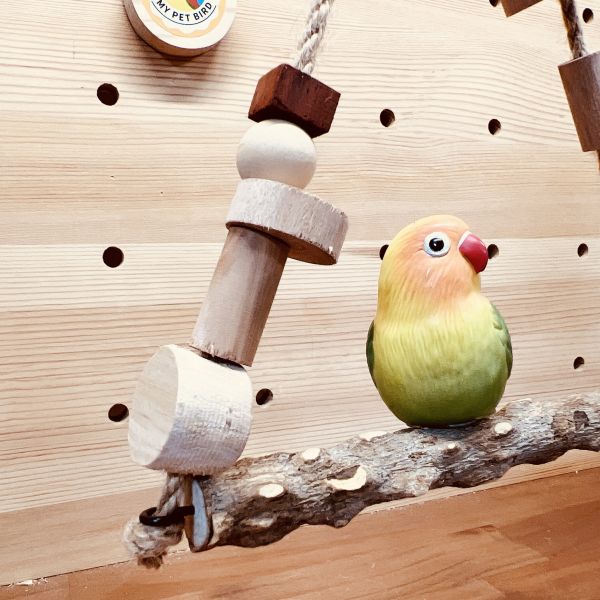 MY PET BIRD 花椒木鞦韆/為鸚鵡設計的天然木製鞦韆 花椒木鞦韆：為鸚鵡設計的天然木製鞦韆
健康鸚鵡玩具：花椒木鞦韆的保健特性滿足鸚鵡的需求
天然花椒木鞦韆：使用花椒木材製作的鞦韆玩具
花椒木鞦韆玩樂：提供鸚鵡健康娛樂的理想選擇
防腐花椒木鞦韆：經特殊處理的花椒木材製成,耐用且環保