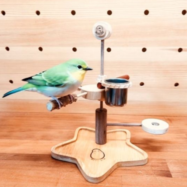 W327c 綠繡眼輕巧星形站架 綠繡眼站台 bird perch stand
綠繡眼站架 Bird stand
綠繡眼站棍　Bird Perch
綠繡眼遊樂場 Bird Playground
綠繡眼鳥玩具 Parrot toys
綠繡眼鳥用品 bird products
綠繡眼攀爬繩 Climbing rope
綠繡眼梯子 ladder
