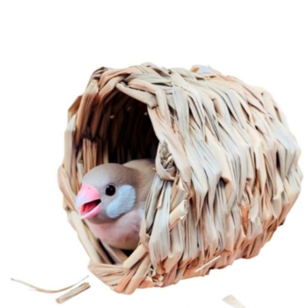 天然草窩 草編窩 鳥巢 /文鳥窩/無棉繩鳥窩 草窩
鸚鵡玩具 寵物文創 鳥玩具