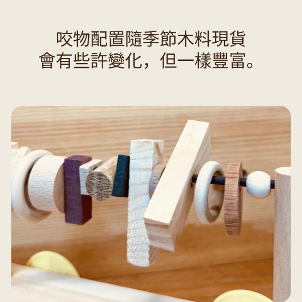 w913   【BirdGYM 鳥寶遊戲台】原木鳥玩具/站架/鞦韆，台灣現貨速發 中型鸚鵡遊樂台、中型鸚鵡兩用遊戲台、鸚鵡遊戲休息台、多功能鸚鵡遊樂設施、中型鸚鵡玩具台、中型鸚鵡活動站台、鸚鵡專用遊樂設備、中型鸚鵡娛樂中心、中型鸚鵡玩樂環境、鸚鵡遊戲平台