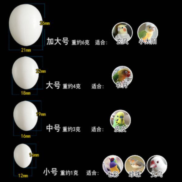 MY PET BIRD 鳥用假蛋/調節繁殖行為的理想工具 鳥用假蛋
鳥類假蛋
繁殖期鳥蛋模擬品
模擬鳥蛋
假蛋控制繁殖行為
鳥類繁殖管理工具
調節鳥類繁殖的假蛋
鳥蛋模擬器
鳥類假卵
控制鳥類繁殖的假蛋