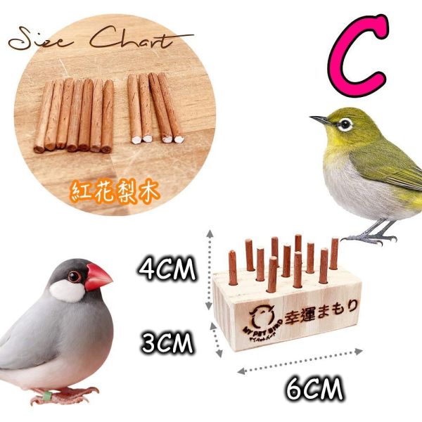 w030 鳥寶幸運籤筒｜天然木製小型鳥互動玩具 綠繡眼玩具、迷你插拔玩具、天然木材玩具、智力啟發玩具、小型鳥類玩具、松木玩具、櫸木玩具、紅花梨木玩具、鳥類益智玩具、寵物鳥娛樂