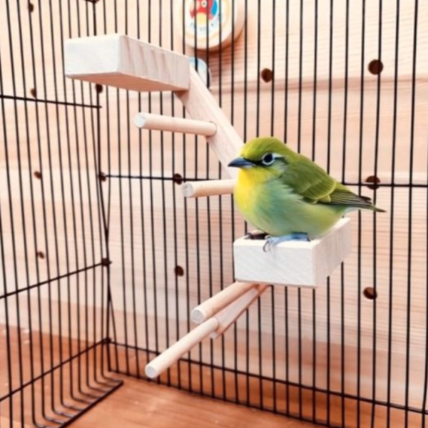 MY PET BIRD 提升綠繡眼鳥籠體驗！創意無限的雙向梯產品 鳥用梯子
小型鳥用梯子
鳥類攀爬梯
鳥籠玩具
天然竹製鳥用梯子
鳥類運動訓練用品
安全可靠鳥用梯子
易於安裝的鳥用梯子
適用於不同大小的鳥籠
高品質鳥用梯子