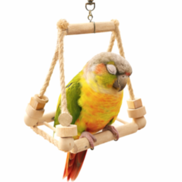 W538 3D立體四向鳥鞦韆｜穩定支架不翻倒、加壓運動必備 鳥用鞦韆
小鸚鵡鞦韆
3D立體造型鞦韆
方形支架座鞦韆
鳥類遊戲玩具
鳥類運動器材
室內外適用鳥類鞦韆
容易清洗鳥用鞦韆
鳥類健康促進器材
鳥類樂趣遊戲器材