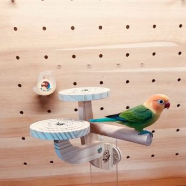 W791鸚鵡二階梯站台 立體攀爬解悶玩具 鸚鵡站台
鸚鵡活動台
鳥類休息台
寵物休息訓練架
可調節高度鳥類休息台
天然木鳥類站立架
無毒寵物訓練玩具
多功能鸚鵡訓練用品
適合鸚鵡休息和站立練習的玩具