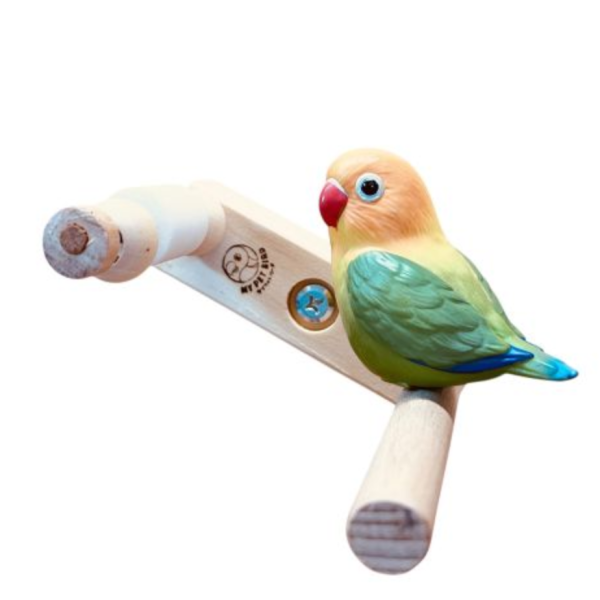 W873 鳥寶解悶首選 | 磨牙玩具 鳥用鏡子、鳥類玩具、視覺刺激、鳥類娛樂、互動玩具、心理刺激、社交模擬、健康心態、寵物鳥、愉悅體驗、愛護鳥類、實用產品