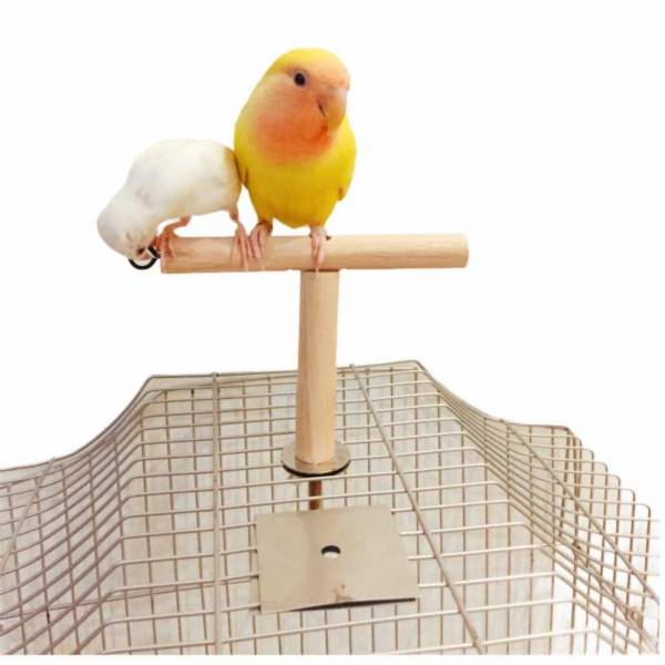 MY PET BIRD  T型籠外站棍 T字籠外站桿
鳥籠固定站棍
鳥類便便排泄設備
鳥類停留技巧訓練工具
鳥籠外站桿清潔省時
安全固定鳥籠頂端工具
幼鳥訓練站在外站桿上
養鴿子式習慣訓練產品
安全健康鳥寶養成工具
鳥籠排便習慣訓練器具