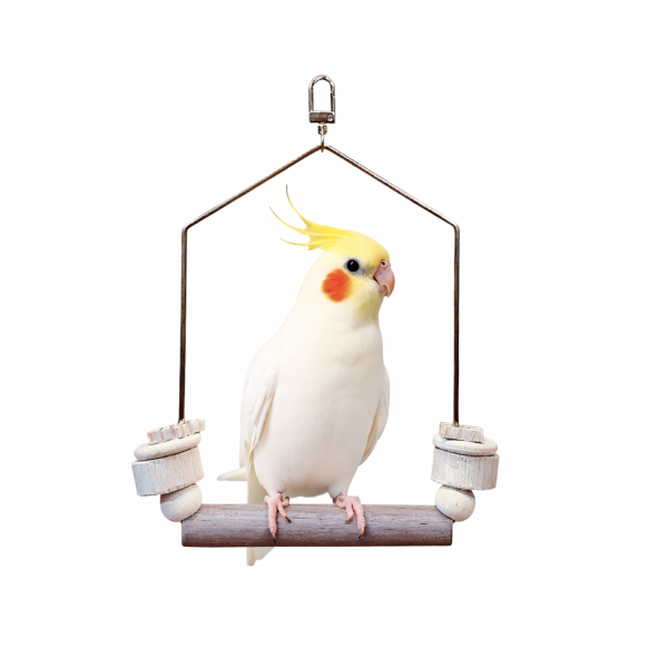 W552  全銅古典鳥鞦韆｜獨家開模黃銅框架 全銅鞦韆框架、獨家開模、古典木質、獨一無二、鳥類玩樂、舒適環境、高品質、古典風格、獨特外觀、鳥寶娛樂、玩樂時光。