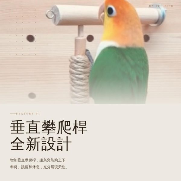 w810 垂直攀爬的樂趣 鳥類磨爪站棍
鳥用攀爬桿
鳥籠磨爪工具
鳥類活動設施
鳥爪保健設備
鳥用磨爪玩具
鳥類健康促進工具
鳥籠增設攀爬桿
鳥類活動空間擴展
鳥用磨爪器具