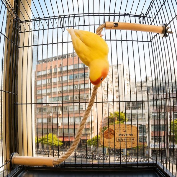 W817 鸚鵡空中纜繩 鸚鵡空中纜繩、鳥籠空中纜繩、鸚鵡棲木、綠繡眼站架　小型鸚鵡玩具、鳥籠站架配件、原木鳥玩具、鸚鵡麻繩站桿、殘疾鳥站台、MY PET BIRD
