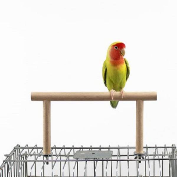 MY PET BIRD 籠頂櫸木站架 籠頂鳥站架：強調產品的特點和功能。
清潔鳥站架：突顯產品的方便清潔特性。
培養鳥類習慣：針對鳥類主人尋找訓練和培養鳥類良好習慣的人群。
便捷鳥站台：強調產品的方便性和使用便捷性。
鳥籠頂端設備：吸引對鳥類籠子頂部觀察和設備的人群。
清潔友好鳥站架：強調產品的清潔友好特性。
鳥類停歇習慣培養：針對鳥類主人尋找培養鳥類停歇習慣的人群。
飛行習慣訓練架：突顯產品有助於培養鳥類飛行習慣的訓練