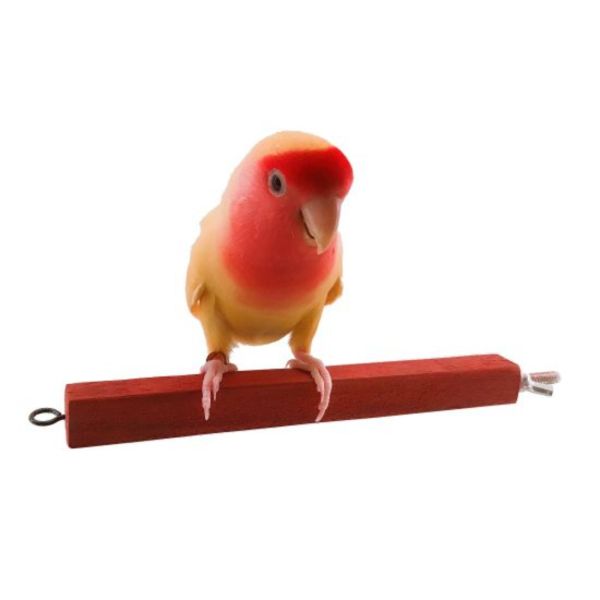 MY PET BIRD 紅花梨方棍鳥站棍 寵物文創,鳥玩具,鸚鵡玩具,文鳥,玄鳳,和尚,虎皮,綠繡眼,凱克,寵物用品,寵物玩具,咬物