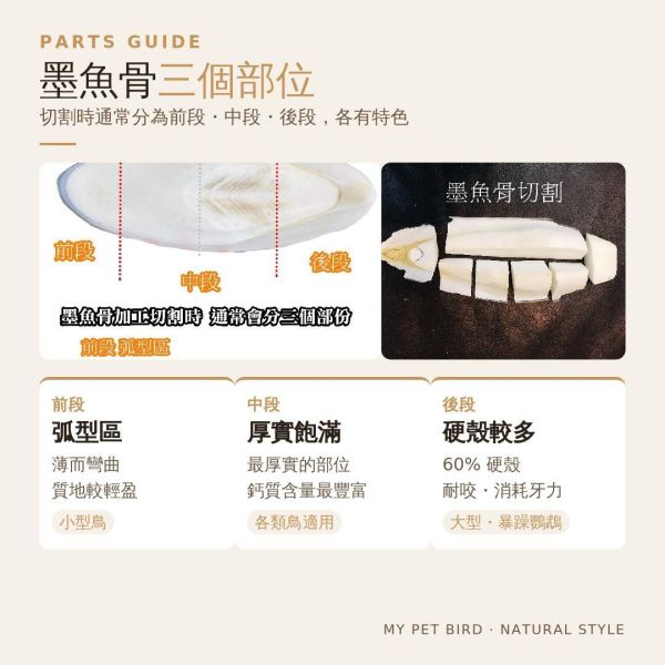 MY PET BIRD 澎湖產地墨魚骨粉 補鈣墨魚骨
鈣質補充
健康骨骼
強化骨骼
營養豐富
天然食材
高鈣來源
墨魚骨營養
骨骼健康