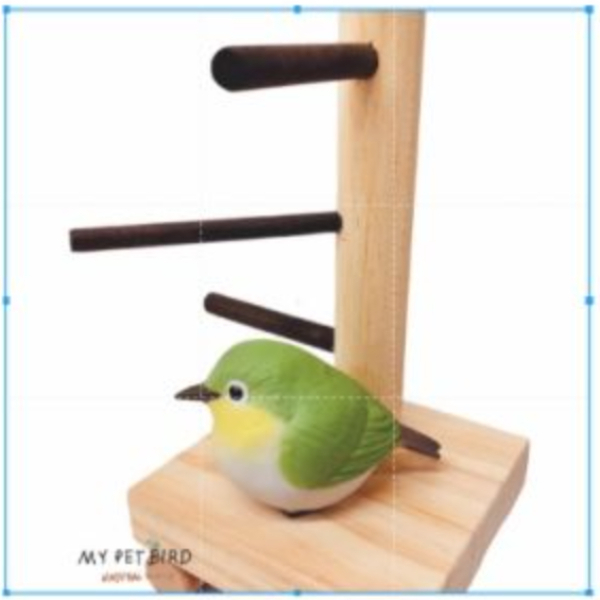MY PET BIRD 小型鳥站架 綠繡眼站台 bird perch stand
綠繡眼站架 Bird stand
綠繡眼站棍　Bird Perch
綠繡眼遊樂場 Bird Playground
綠繡眼鳥玩具 Parrot toys
綠繡眼鳥用品 bird products
綠繡眼攀爬繩 Climbing rope
綠繡眼梯子 ladder