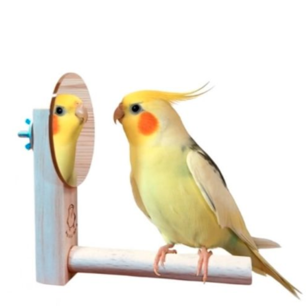 W829R 中型鸚鵡加大鏡面　站棍鏡子二合一　和尚鸚鵡 凱克 玄鳳 小太陽　 鳥用鏡子、鳥類玩具、視覺刺激、鳥類娛樂、互動玩具、心理刺激、社交模擬、健康心態、寵物鳥、愉悅體驗、愛護鳥類、實用產品