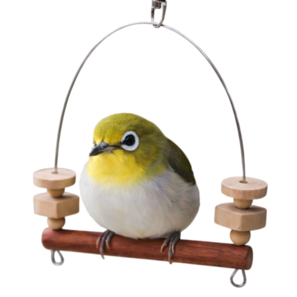 W519 綠繡眼專用迷你鞦韆 不鏽鋼支撐 紅花梨木 原創設計 文鳥咬串 鸚鵡玩具綠繡眼、迷你鞦韆、不銹鋼支撐、時尚設計、咬物選擇、寵物鳥娛樂