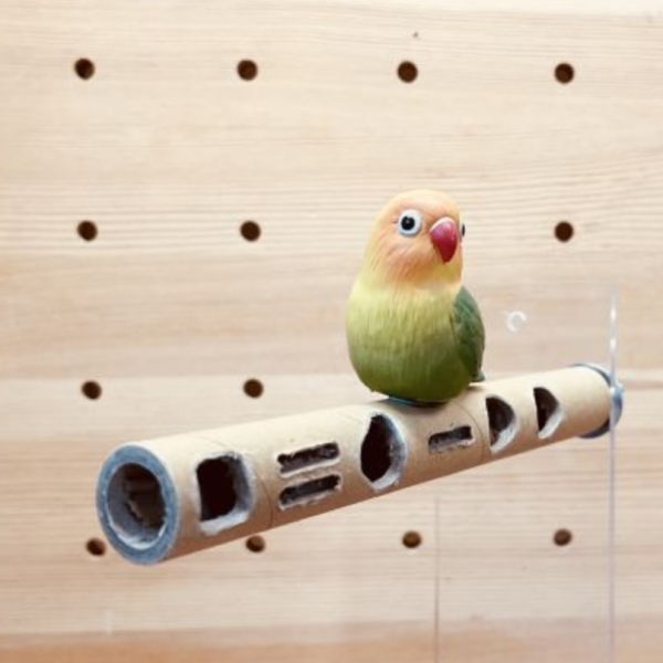 W874 鸚鵡發洩啃咬首選 | 26mm耐咬紙管玩具 26mm 紙管玩具
CNC 鏤空鳥玩具
幾何鏤空啃咬玩具
厚紙管鸚鵡玩具
鸚鵡暴力啃咬玩具
防止鸚鵡亂咬傢具
鳥寶發洩精力玩具
中小型鸚鵡耐咬玩具
鸚鵡減壓玩具