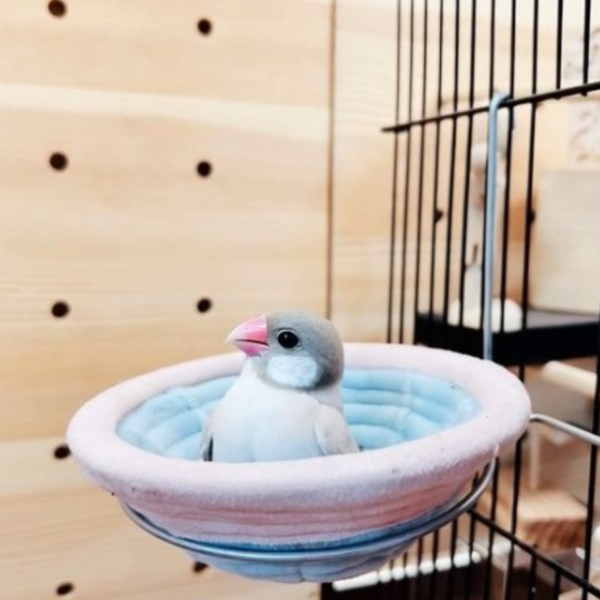 W4A3  雀鳥鳥巢／ 懸掛式鳥窩 鳥類寵物懸掛窩
吊掛式鳥巢
寵物鳥掛墊窩
懸掛式鳥類睡窩
布質吊掛鳥窩
寵物鳥用懸掛巢穴
鳥類布質掛墊窩
懸掛式寵物鳥休憩窩
寵物鳥的吊掛睡巢
鳥類懸掛式棲息窩