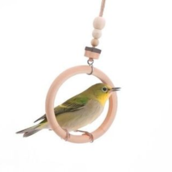 W505 精致設計的綠繡眼小型鞦韆 綠繡眼迷你鞦韆：提供綠繡眼鸚鵡的娛樂和鍛煉
精致設計的綠繡眼小型鞦韆：豐富您的寵物鳥的生活
綠繡眼鞦韆玩具：提供活動和娛樂的理想選擇
適合綠繡眼的迷你鞦韆：加強鳥類的體力和活力
綠繡眼專用迷你鞦韆：豪華設計帶來樂趣和舒適