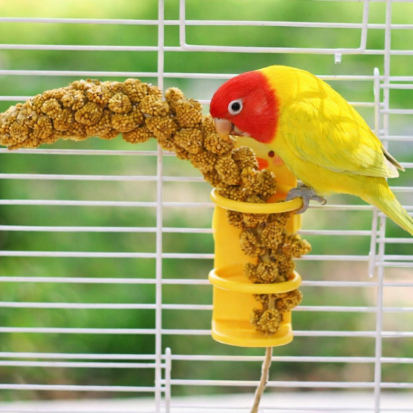 Z073A  萌趣小鴨鸚鵡谷穗架 |  站立式防掉落餵食架 鳥類果蔬籃
鳥兒食物供應籃
鳥類水果蔬菜器皿
新鮮食物籃子
鳥類營養補充器
鳥用食物盛放器
天然鳥類飲食工具
健康鳥類食物籃
方便鳥類飲食器具
鳥類食物分配容器