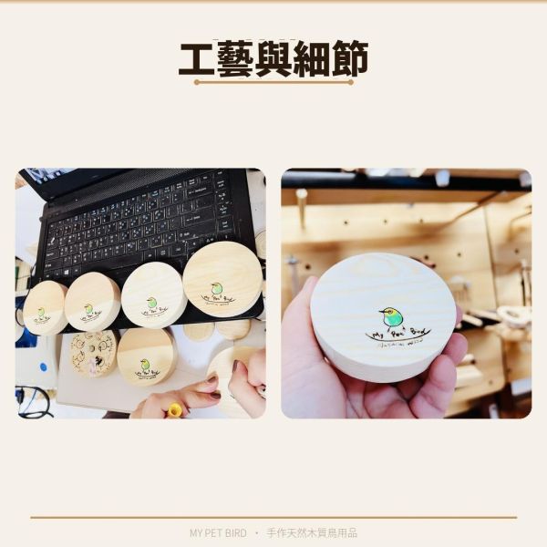 W767D 彩繪版綠繡眼玩具｜套圈圈 鳥用套圈圈
玩具套圈圈
鳥類智力訓練
協調能力鍛鍊
寵物鳥玩具
綠繡眼套圈圈
綠繡眼玩具
鳥類互動玩具
環保鳥玩具
鳥類運動玩具