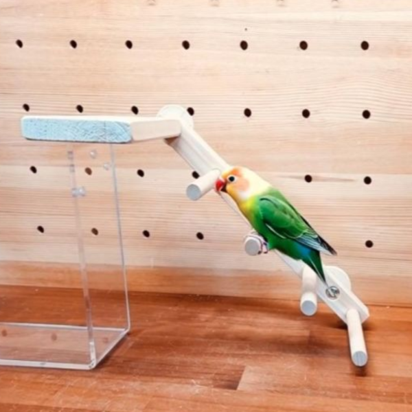 w718E 創意無限的雙向梯產品｜中型鸚鵡 鳥用梯子
小型鳥用梯子
鳥類攀爬梯
鳥籠玩具
天然竹製鳥用梯子
鳥類運動訓練用品
安全可靠鳥用梯子
易於安裝的鳥用梯子
適用於不同大小的鳥籠
高品質鳥用梯子