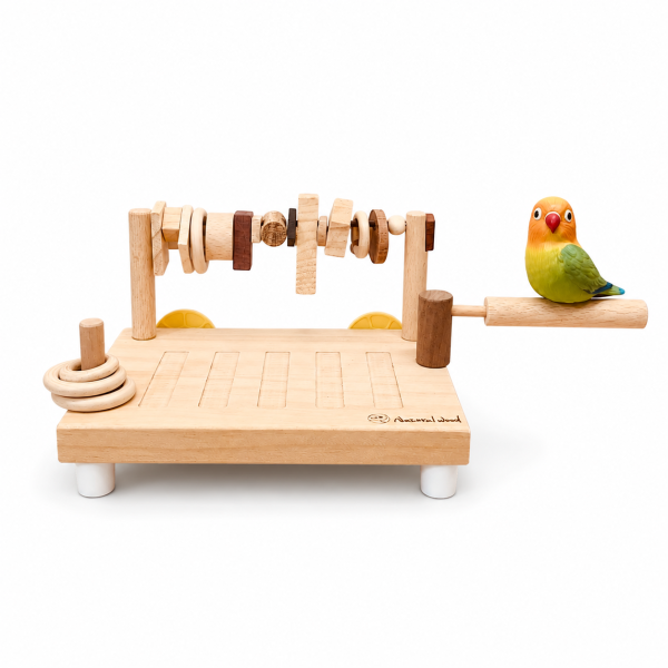 w913   【BirdGYM 鳥寶遊戲台】原木鳥玩具/站架/鞦韆，台灣現貨速發 中型鸚鵡遊樂台、中型鸚鵡兩用遊戲台、鸚鵡遊戲休息台、多功能鸚鵡遊樂設施、中型鸚鵡玩具台、中型鸚鵡活動站台、鸚鵡專用遊樂設備、中型鸚鵡娛樂中心、中型鸚鵡玩樂環境、鸚鵡遊戲平台