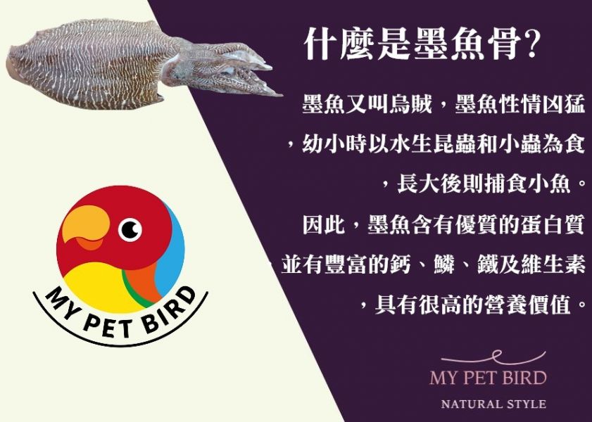 MY PET BIRD 澎湖產地墨魚骨粉 補鈣墨魚骨
鈣質補充
健康骨骼
強化骨骼
營養豐富
天然食材
高鈣來源
墨魚骨營養
骨骼健康