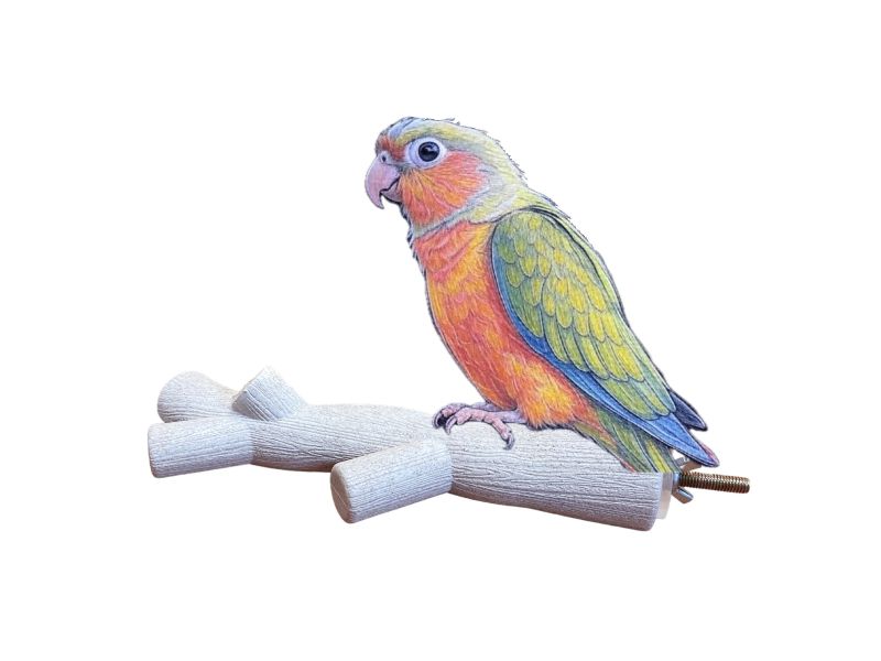 MY PET BIRD 鸚鵡啃咬玉米桿站棍 寵物文創,鳥玩具,鸚鵡玩具,文鳥,玄鳳,和尚,虎皮,綠繡眼,凱克,寵物用品,寵物玩具,咬物