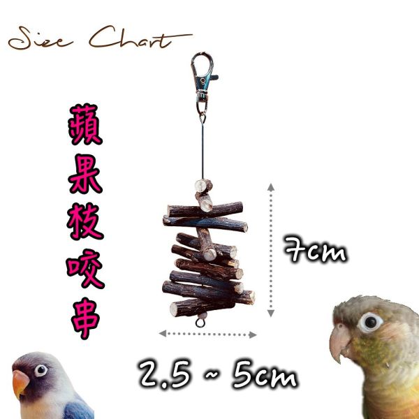 MY PET BIRD 天然蘋果枝串：為您的鸚鵡提供天然咬物選擇 文鳥咬串 鸚鵡玩具天然蘋果枝、鸚鵡啃咬、自然咬物、小型鳥、風味。