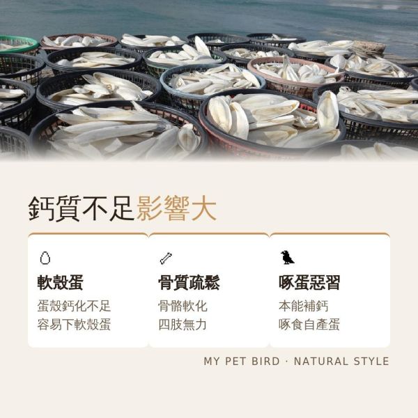 MY PET BIRD 澎湖產地墨魚骨粉 補鈣墨魚骨
鈣質補充
健康骨骼
強化骨骼
營養豐富
天然食材
高鈣來源
墨魚骨營養
骨骼健康