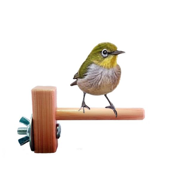 MY PET BIRD 迷你竹站棍 綠繡眼訓練工具
竹質站棍
小腳訓練器材
直徑10mm竹棍
平衡訓練工具
鳥兒站棍模擬
樹枝晃動感覺
綠繡眼運動訓練器具
綠繡眼腳部力量訓練
竹製訓練棍具