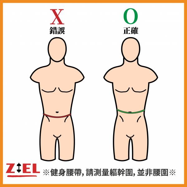 【Ziel力爾】北歐維京人 METAL 傳統健力腰帶 石榴紅 北歐維京人,METAL,腰帶,健身腰帶,重訓腰帶,健身配件,健身