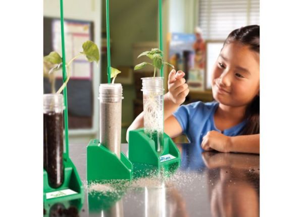 美國Educational Insights水耕植物培養試管 美國Educational Insights,STEM,試管,水耕植物培養試管,植物生長紀錄