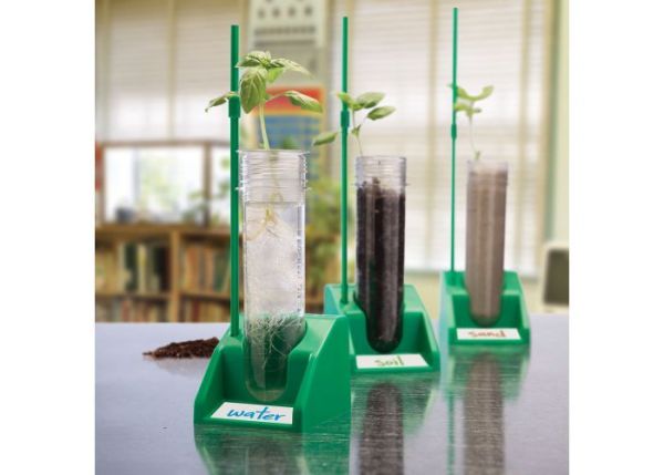 美國Educational Insights水耕植物培養試管 美國Educational Insights,STEM,試管,水耕植物培養試管,植物生長紀錄