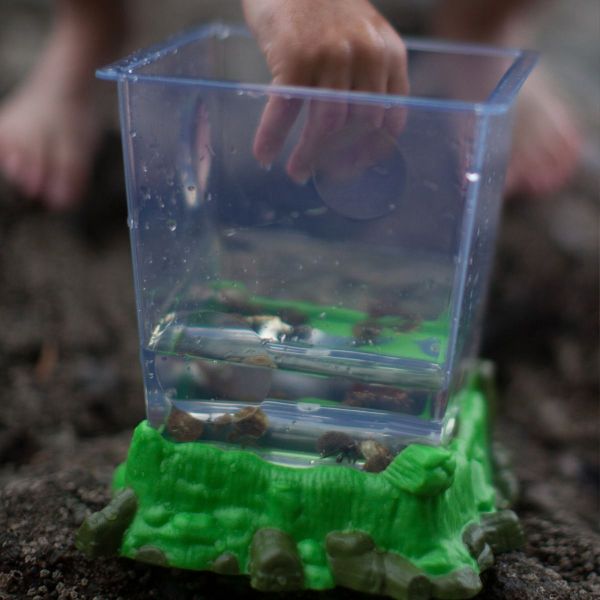 美國Educational Insights生物觀察箱 美國Educational Insights,生物觀察箱,STEM,