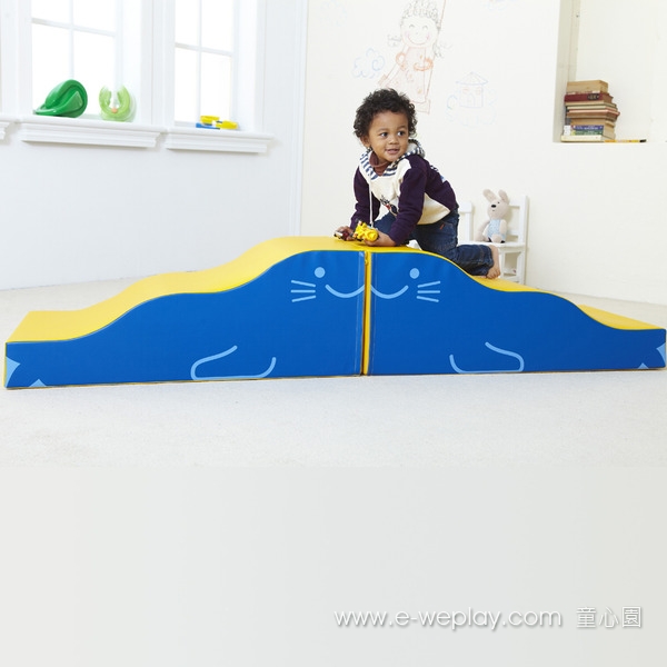 Weplay 動物嘉年華 - 海豹組 動物造型,前翻側翻,身體協調,WEPLAY,童心園,華森葳,兒童體適能,感覺統合,海豹組