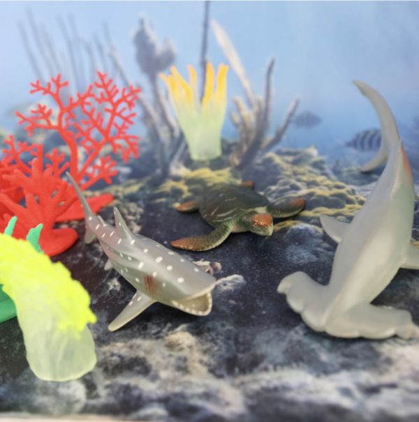 TERRA 海洋世界(情境桶) 海洋世界,海底世界,大白鯊,鯨魚,可愛海豚,可愛海龜