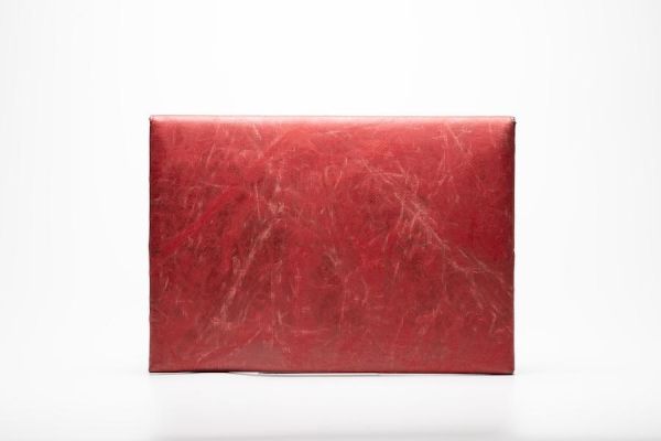 F421 SLEEVE FOR LAPTOP 15/16 