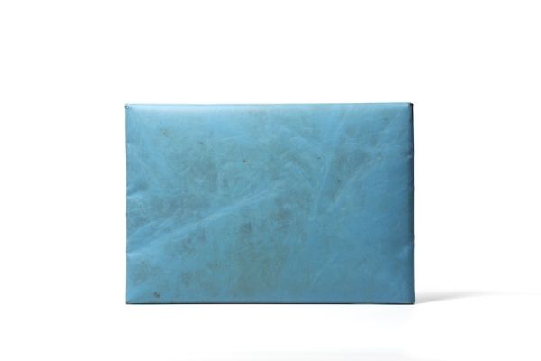 F421 SLEEVE FOR LAPTOP 15/16 