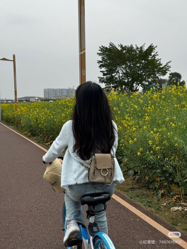 【9成新】CHLOE FAYE 迷你雙肩後背包 