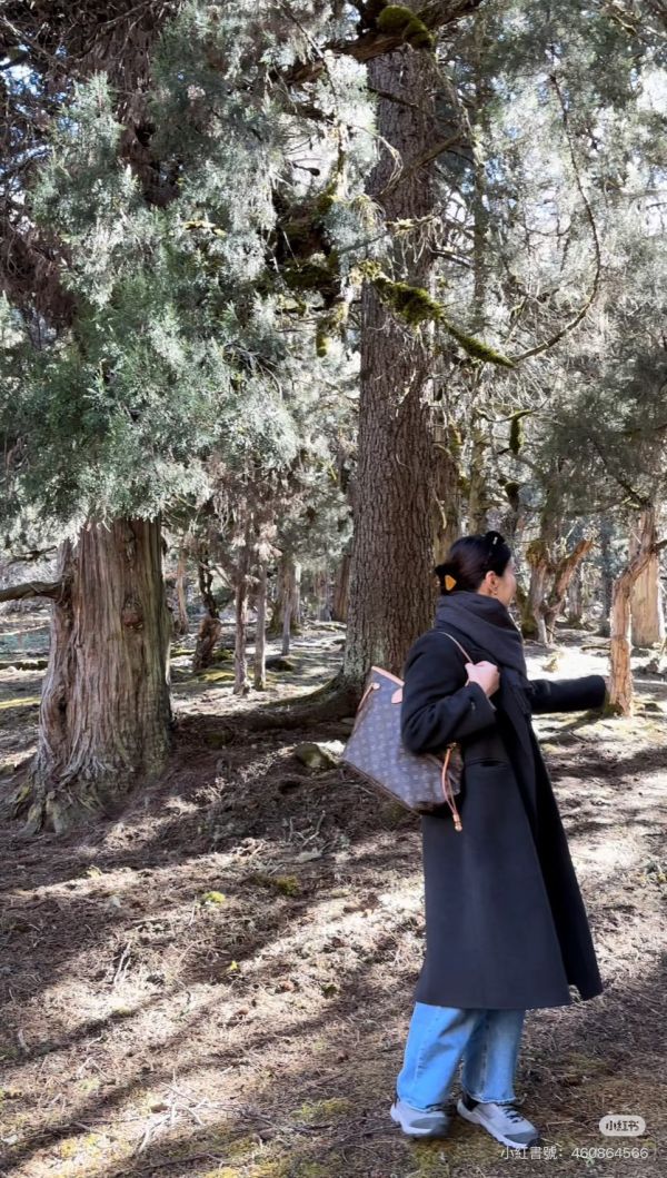 【分期0利率】LV NEVERFULL GM【95成新】 