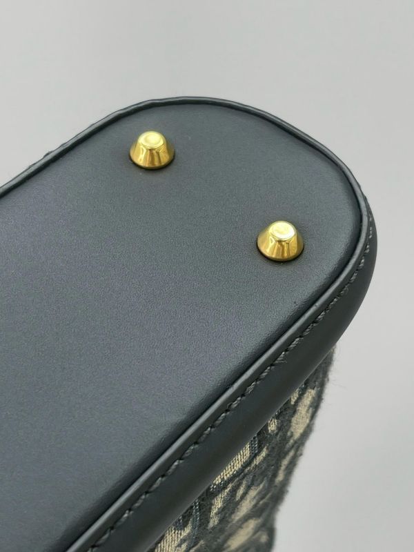 【9成新】DIOR C'EST 老花水桶包 中號 