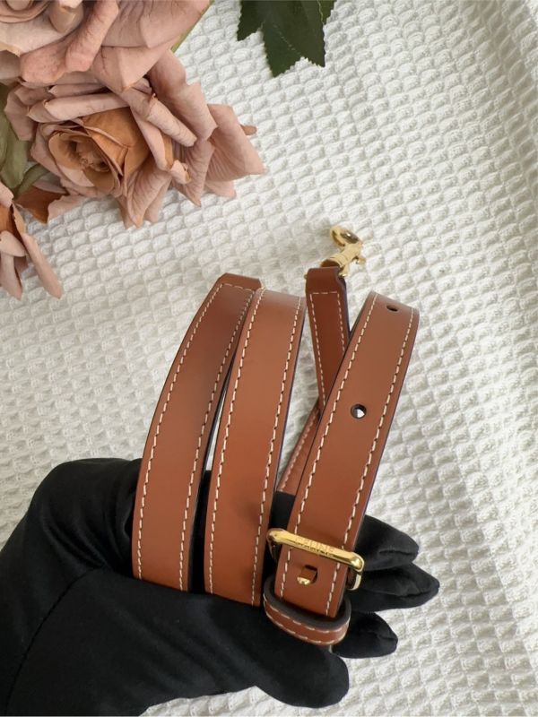 【12 期 0 利率】CELINE 新款凱旋門老花SPEEDY小號【23年7月歐洲購證】【95成】 