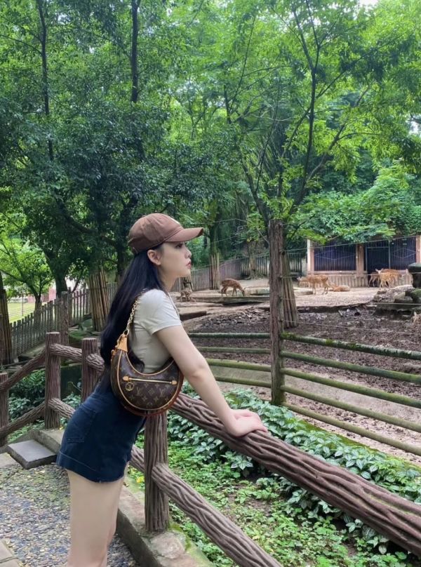 【12期0利率】LV  Loop 老花半月包【95成新】 